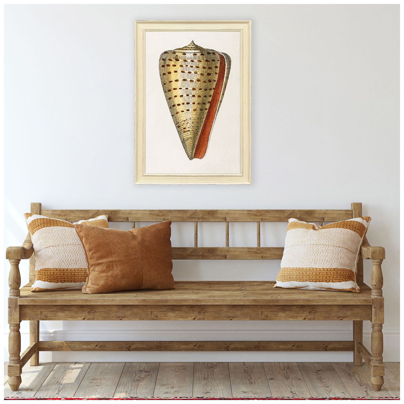 Image 5 Conch Study II 24"W x 34"H Framed Art more views