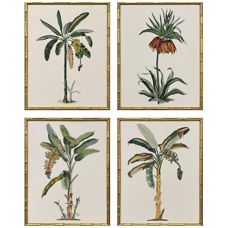 Image 1 Contemporary Palm I 19"W x 25"H Coastal Framed Art Set of 4