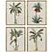 Contemporary Palm I 19"W x 25"H Coastal Framed Art Set of 4