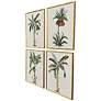 2_Contemporary Palm I 19"W x 25"H Coastal Framed Art Set of 4 more views