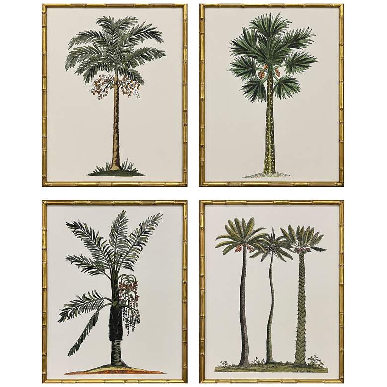 Image 1 Contemporary Palm II 19"W x 25"H Coastal Framed Art Set of 4