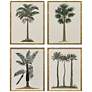 1_Contemporary Palm II 19"W x 25"H Coastal Framed Art Set of 4