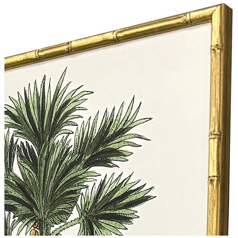 Image 3 Contemporary Palm II 19"W x 25"H Coastal Framed Art Set of 4 more views