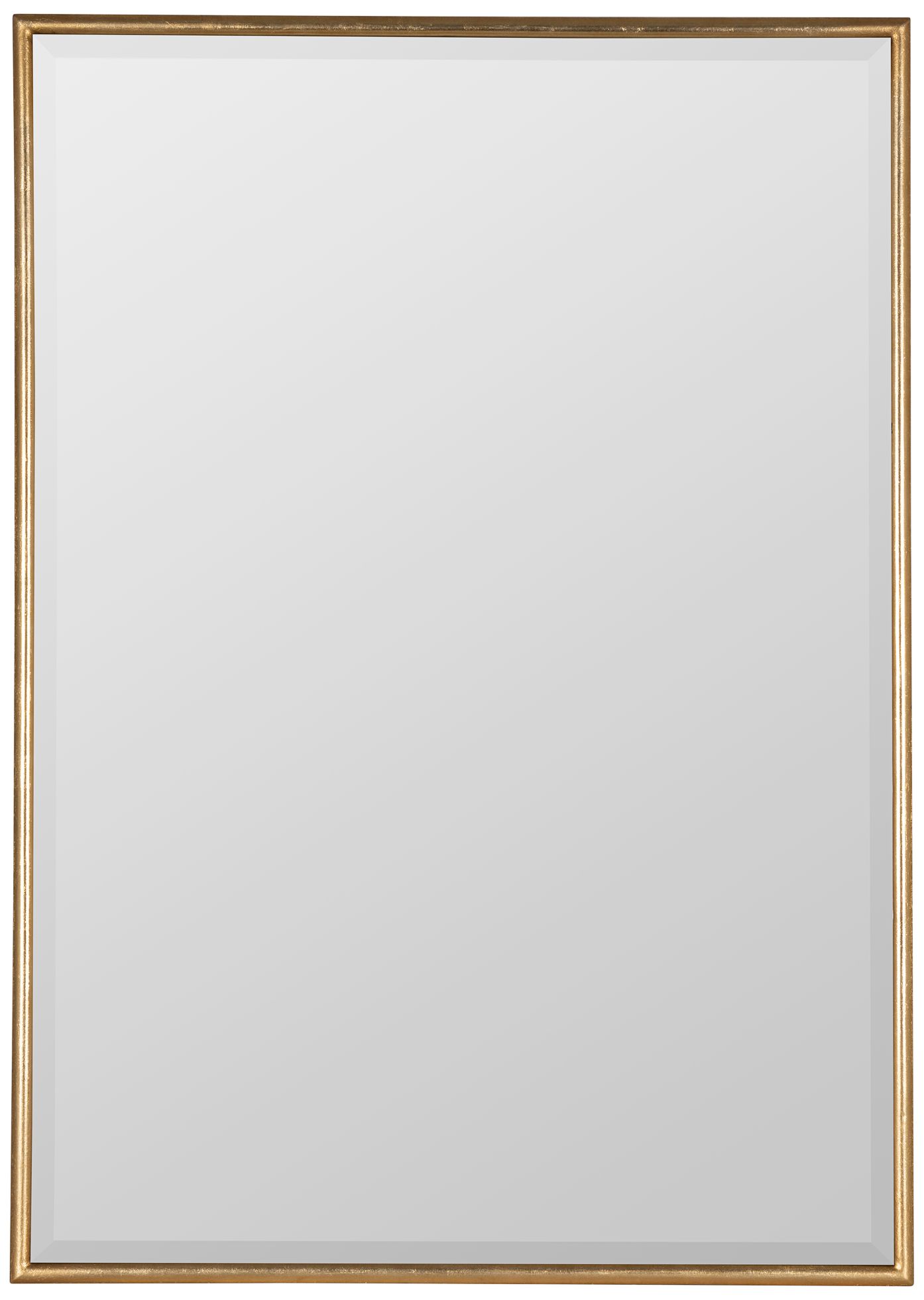 Cooper Classics Callie Gold 30" x 42" Wall Mirror 769H6 Lamps Plus