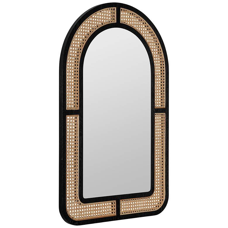 Image 5 Cooper Classics Emma Natural and Black 24 inch x 38 inch Wall Mirror more views