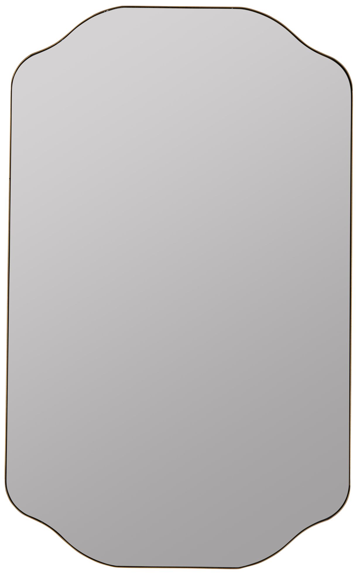 Image 4 Cooper Classics Henry Gold 21" x 34" Rectangular Wall Mirror more views