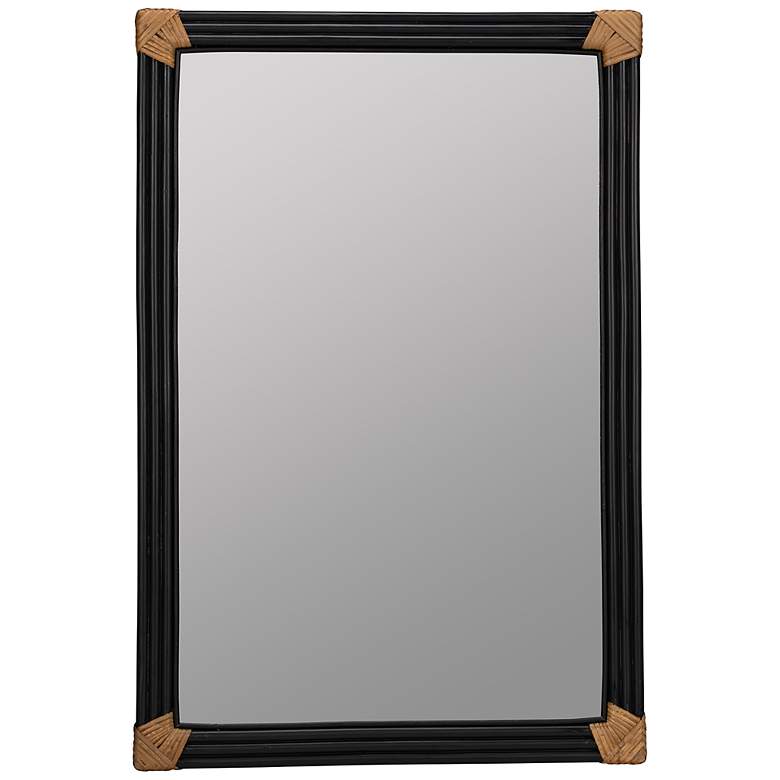 Image 1 Cooper Classics Lisandro Black 24 inch x 36 inch Wall Mirror