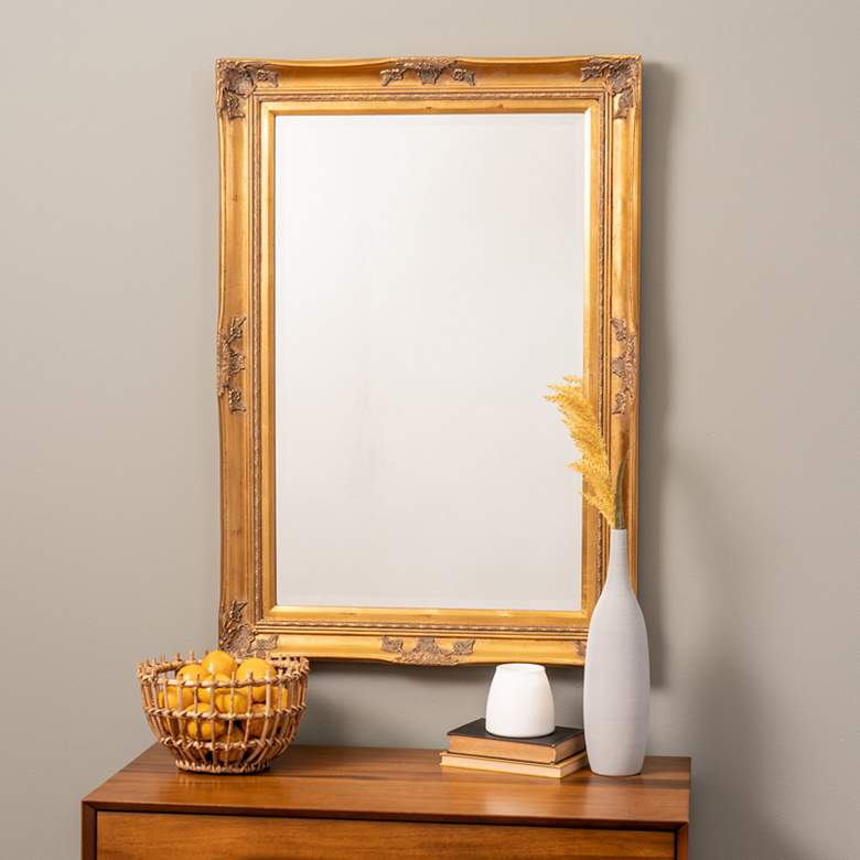 Image 1 Cooper Classics Orion Gold 28 inch x 40 inch Rectangular Wall Mirror