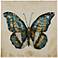 Cooper Classics Shimmering Butterfly 30" Square Wall Art