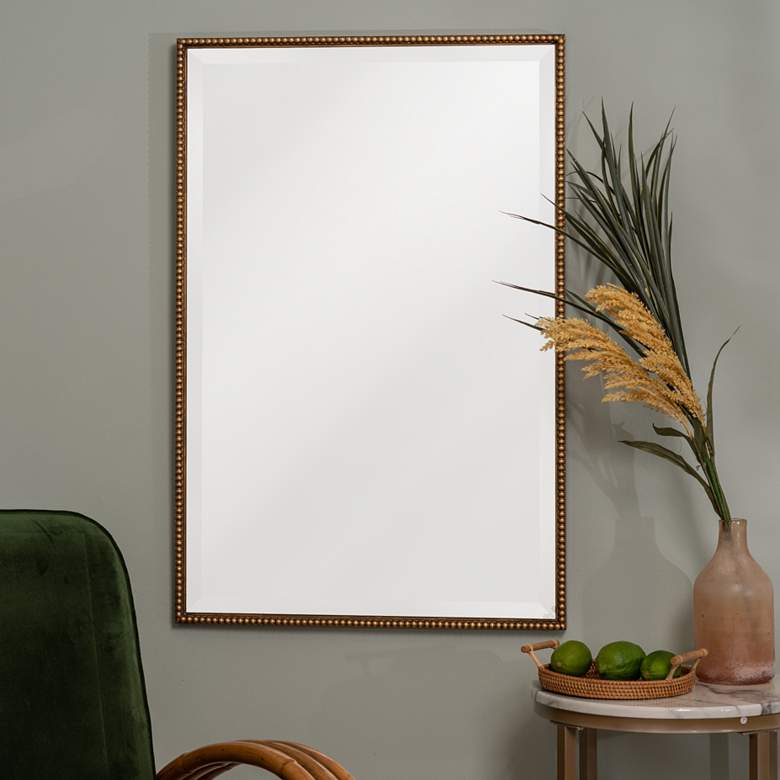 Image 1 Cooper Classics Terese Antique Gold 24 inch x 36 inch Wall Mirror