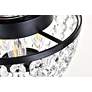 7_Cora 10" Wide Black with Crystal Ceiling Light more views