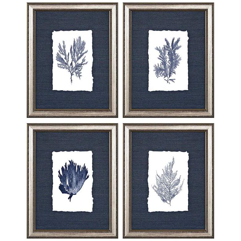 Image 1 Coral 14 inch High 4-Piece Framed Giclee Wall Art Set