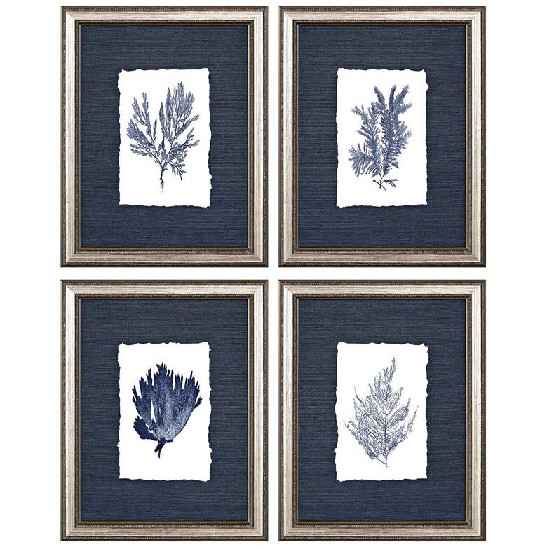 Image 1 Coral 14" High 4-Piece Framed Giclee Wall Art Set