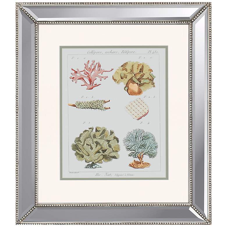 Image 1 Coral Classification II Framed Wall Art