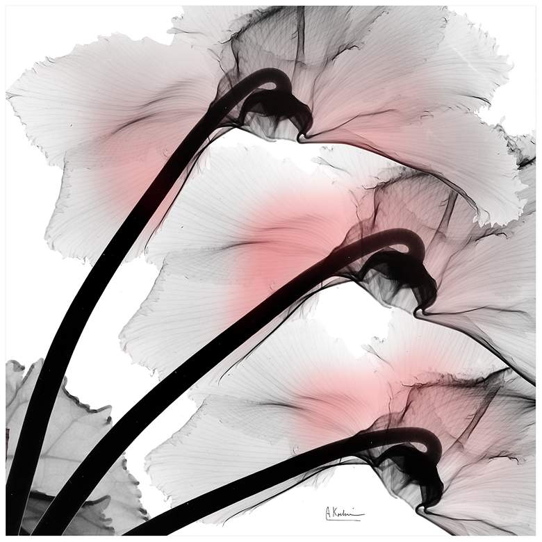 Image 2 Coral Luster Clycamen 2 24" Square Glass Graphic Wall Art