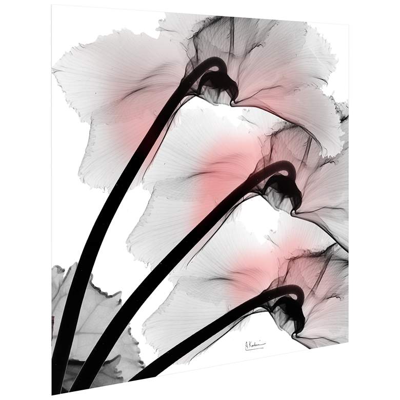Image 4 Coral Luster Clycamen 2 24" Square Glass Graphic Wall Art more views