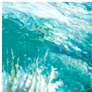 Coral Reef 40" Wide All-Weather Outdoor Canvas Wall Art