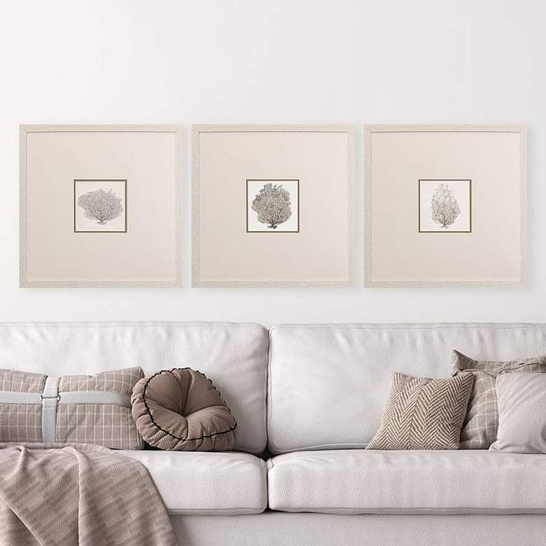 Image 2 Corals A 19" Square 3-Piece Printed Framed Wall Art Set