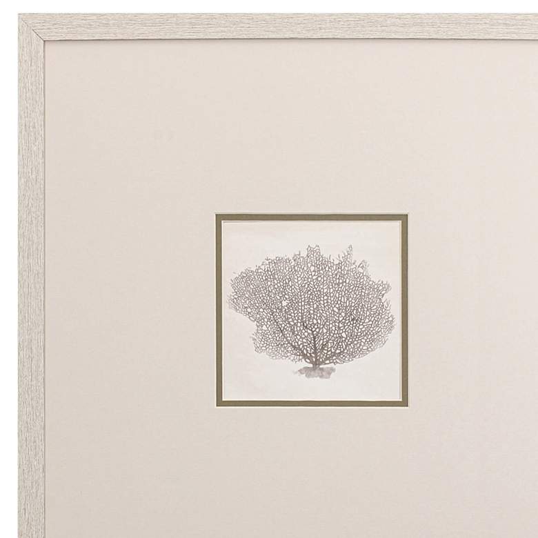 Image 4 Corals A 19" Square 3-Piece Printed Framed Wall Art Set more views
