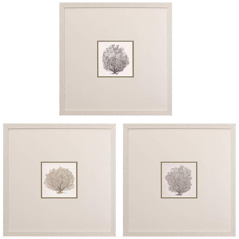 Image 3 Corals B 19" Square 3-Piece Printed Framed Wall Art Set