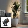 Cord-n-Plug Black LED Accent Uplight w/ Foot Switch Set of 2