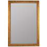 2_Corinne Antique Gold 26" x 38" Rectangular Wall Mirror