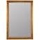 Corinne Antique Gold 26" x 38" Rectangular Wall Mirror