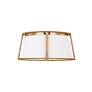 2_Cortes 13 1/2" Wide Satin Brass Ceiling Light more views