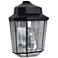 Costaluz 9 1/2" High Black Outdoor Wall Light