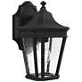 Cotswold Lane 11 1/2" High Black Outdoor Wall Light