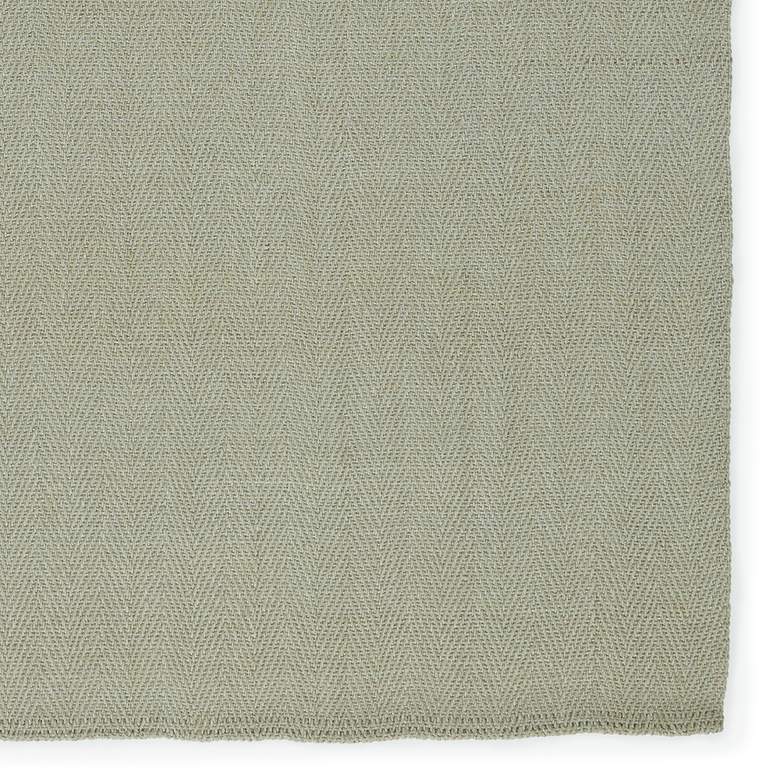 Image 4 Cottage Ranier CTT01 5'x8' Natural Solid Green Area Rug more views