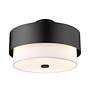 7_Counterpoint 18" Wide Matte Black Drum Ceiling Light more views