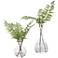 Country Green Ferns 21"H Faux Plants in Glass Vases Set of 2