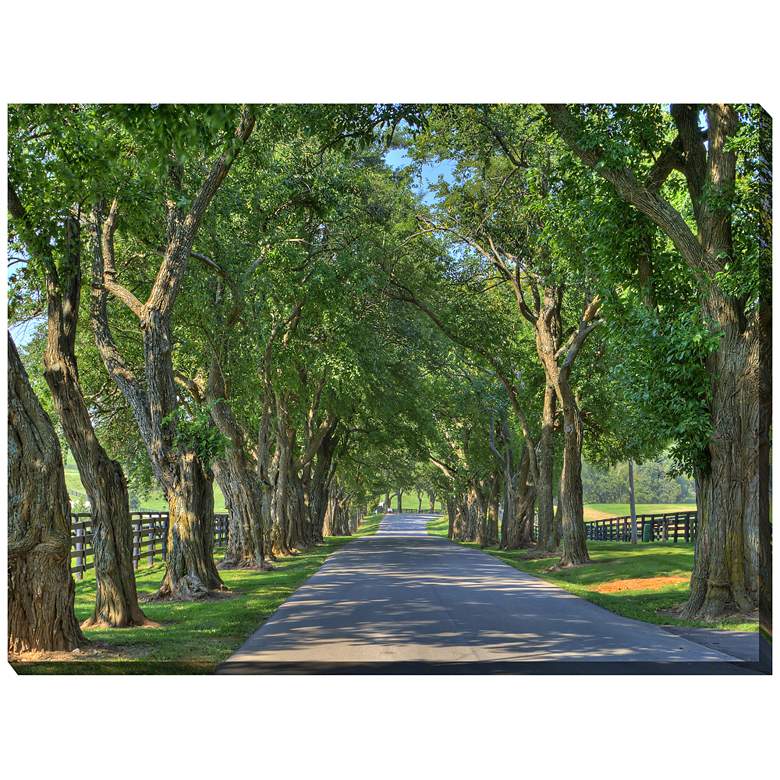 Image 1 Country Lane 40 inch Wide All-Weather Outdoor Canvas Wall Art