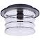 Craftmade Canon 11 1/2" Wide Midnight Outdoor Ceiling Light