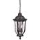 Craftmade Frances 18 1/2" Traditional Bronze Outdoor Hanging Light