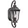Craftmade Frances 19 1/4" High Traditional Bronze Outdoor Wall Light