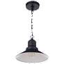 Craftmade Singleton 11" Industrial Black Outdoor Barn Pendant Light