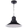 Craftmade Singleton 14" Industrial Black Outdoor Barn Pendant Light