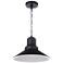 Craftmade Singleton 14" Industrial Black Outdoor Barn Pendant Light