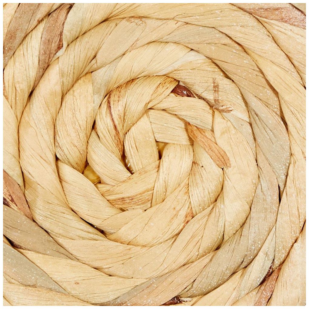 Cream Dried Plant Coastal Wall Decor, S/3 20", 24", 28"H