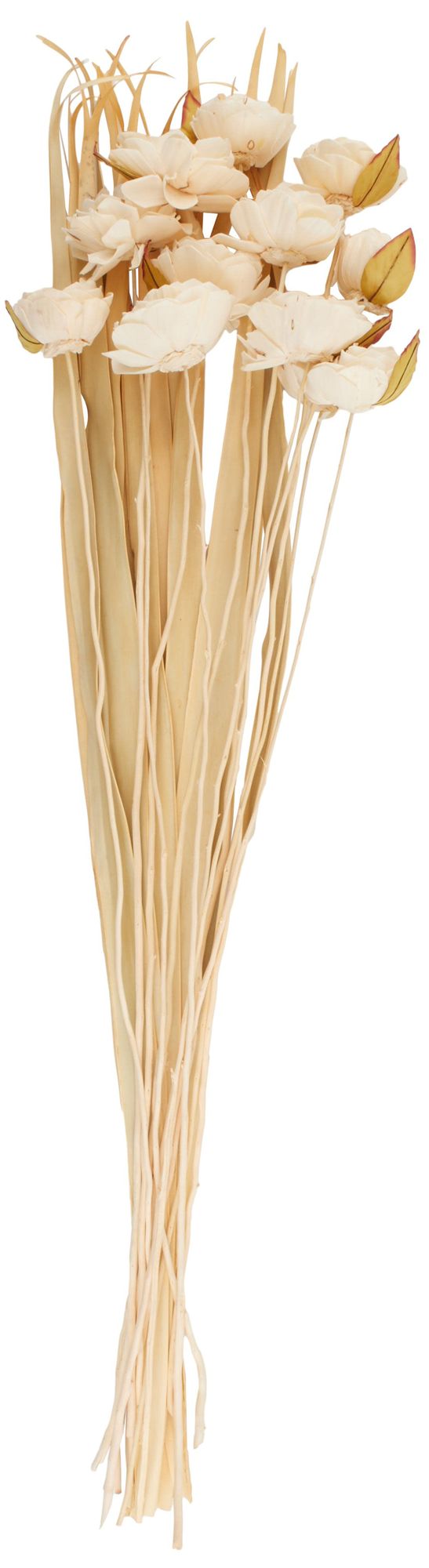 Image 2 Cream Dried Plant French Country Natural Foliage, 10" x 10" x 49"