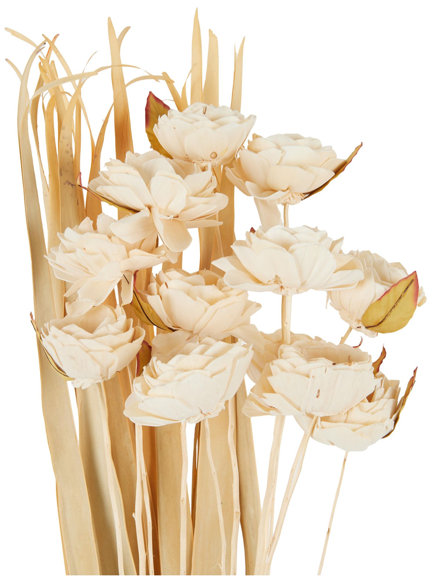 Image 3 Cream Dried Plant French Country Natural Foliage, 10" x 10" x 49" more views