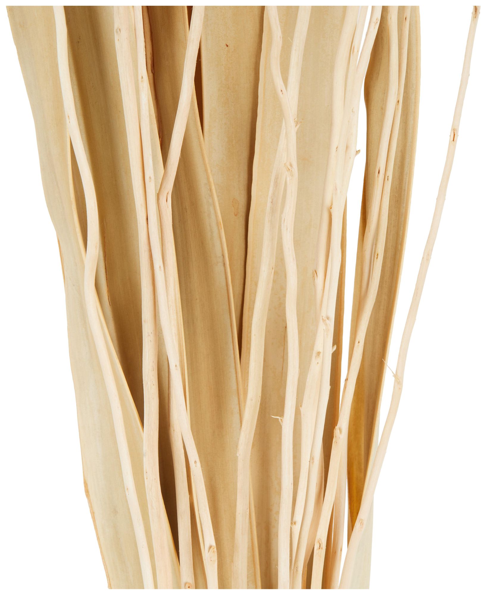 Image 4 Cream Dried Plant French Country Natural Foliage, 10" x 10" x 49" more views