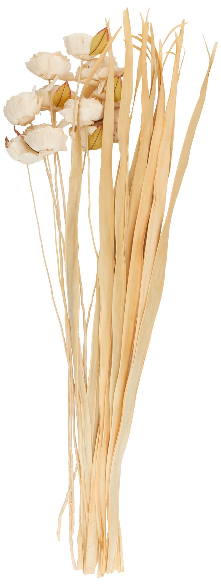 Image 5 Cream Dried Plant French Country Natural Foliage, 10" x 10" x 49" more views