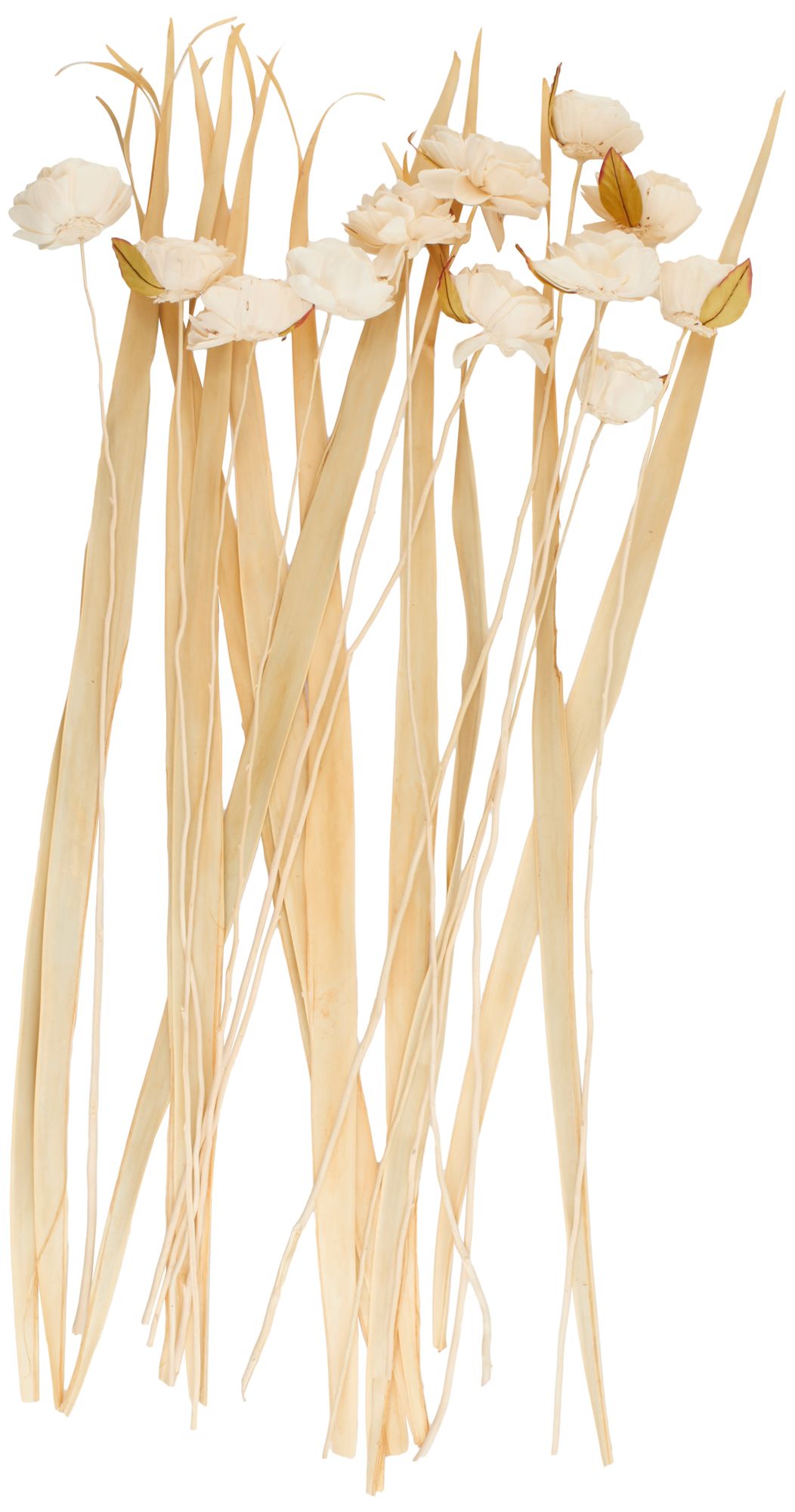 Image 6 Cream Dried Plant French Country Natural Foliage, 10" x 10" x 49" more views