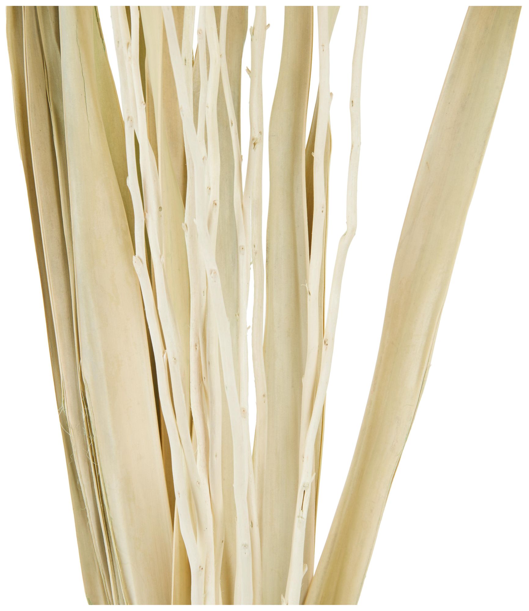 Image 3 Cream Dried Plant French Country Natural Foliage, 12" x 12" x 50" more views