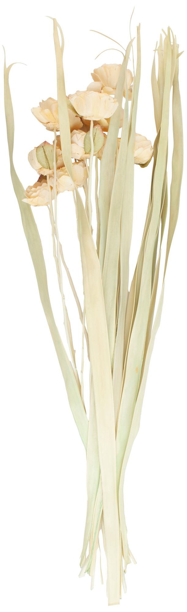 Image 5 Cream Dried Plant French Country Natural Foliage, 12" x 12" x 50" more views