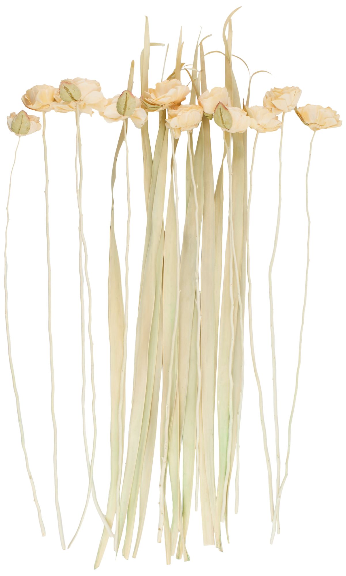 Image 6 Cream Dried Plant French Country Natural Foliage, 12" x 12" x 50" more views