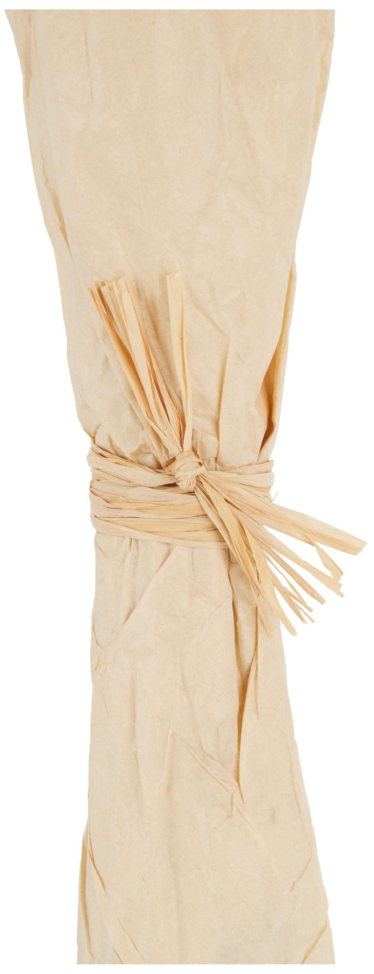 Image 3 Cream Dried Plant French Country Natural Foliage, 7" x 7" x 41" more views